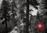 Image of U.S. Army motor transport convoy in picturesque mountains California United States USA, 1919, second 21 stock footage video 65675025560