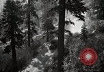 Image of U.S. Army motor transport convoy in picturesque mountains California United States USA, 1919, second 22 stock footage video 65675025560