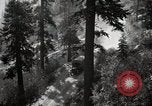 Image of U.S. Army motor transport convoy in picturesque mountains California United States USA, 1919, second 23 stock footage video 65675025560