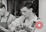 Standbild leben im südlichen Bergregionen Kentucky United States USA, 1940, aus Sekunde 15 historischem Filmmaterial Videoclip 65675025568