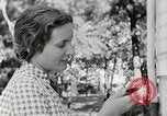 Standbild leben im südlichen Bergregionen Kentucky United States USA, 1940, aus Sekunde 60 historischem Filmmaterial Videoclip 65675025568