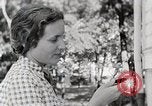 Standbild leben im südlichen Bergregionen Kentucky United States USA, 1940, aus Sekunde 61 historischem Filmmaterial Videoclip 65675025568