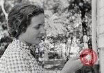 Standbild leben im südlichen Bergregionen Kentucky United States USA, 1940, aus Sekunde 62 historischem Filmmaterial Videoclip 65675025568