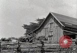 Standbild leben im südlichen Bergregionen Kentucky United States USA, 1940, aus Sekunde 3 historischem Filmmaterial Videoclip 65675025569