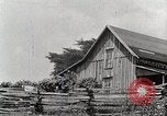Standbild leben im südlichen Bergregionen Kentucky United States USA, 1940, aus Sekunde 5 historischem Filmmaterial Videoclip 65675025569