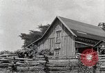 Standbild leben im südlichen Bergregionen Kentucky United States USA, 1940, aus Sekunde 8 historischem Filmmaterial Videoclip 65675025569