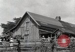 Standbild leben im südlichen Bergregionen Kentucky United States USA, 1940, aus Sekunde 29 historischem Filmmaterial Videoclip 65675025569