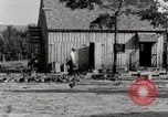 Standbild leben im südlichen Bergregionen Kentucky United States USA, 1940, aus Sekunde 36 historischem Filmmaterial Videoclip 65675025569