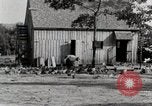 Standbild leben im südlichen Bergregionen Kentucky United States USA, 1940, aus Sekunde 40 historischem Filmmaterial Videoclip 65675025569