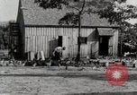 Standbild leben im südlichen Bergregionen Kentucky United States USA, 1940, aus Sekunde 41 historischem Filmmaterial Videoclip 65675025569