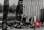 Standbild leben im südlichen Bergregionen Kentucky United States USA, 1940, aus Sekunde 50 historischem Filmmaterial Videoclip 65675025569