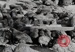 Standbild leben im südlichen Bergregionen Kentucky United States USA, 1940, aus Sekunde 51 historischem Filmmaterial Videoclip 65675025569