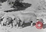 Standbild leben im südlichen Bergregionen Kentucky United States USA, 1940, aus Sekunde 12 historischem Filmmaterial Videoclip 65675025570