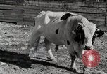 Standbild leben im südlichen Bergregionen Kentucky United States USA, 1940, aus Sekunde 24 historischem Filmmaterial Videoclip 65675025570