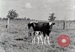 Standbild leben im südlichen Bergregionen Kentucky United States USA, 1940, aus Sekunde 33 historischem Filmmaterial Videoclip 65675025570
