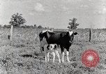 Standbild leben im südlichen Bergregionen Kentucky United States USA, 1940, aus Sekunde 36 historischem Filmmaterial Videoclip 65675025570
