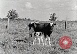 Standbild leben im südlichen Bergregionen Kentucky United States USA, 1940, aus Sekunde 38 historischem Filmmaterial Videoclip 65675025570