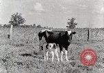 Standbild leben im südlichen Bergregionen Kentucky United States USA, 1940, aus Sekunde 39 historischem Filmmaterial Videoclip 65675025570