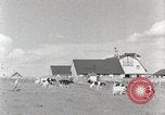 Standbild leben im südlichen Bergregionen Kentucky United States USA, 1940, aus Sekunde 41 historischem Filmmaterial Videoclip 65675025570