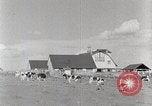 Standbild leben im südlichen Bergregionen Kentucky United States USA, 1940, aus Sekunde 50 historischem Filmmaterial Videoclip 65675025570