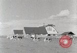 Standbild leben im südlichen Bergregionen Kentucky United States USA, 1940, aus Sekunde 52 historischem Filmmaterial Videoclip 65675025570