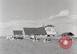 Standbild leben im südlichen Bergregionen Kentucky United States USA, 1940, aus Sekunde 53 historischem Filmmaterial Videoclip 65675025570