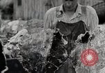 Standbild leben im südlichen Bergregionen Harlan Kentucky USA, 1940, aus Sekunde 22 historischem Filmmaterial Videoclip 65675025571