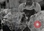 Standbild leben im südlichen Bergregionen Harlan Kentucky USA, 1940, aus Sekunde 23 historischem Filmmaterial Videoclip 65675025571