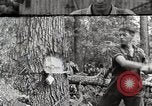 Standbild Protokollierung und Sägewerk Verarbeitung Crossville Tennessee USA, 1940, aus Sekunde 1 historischem Filmmaterial Videoclip 65675025572
