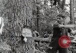 Standbild Protokollierung und Sägewerk Verarbeitung Crossville Tennessee USA, 1940, aus Sekunde 3 historischem Filmmaterial Videoclip 65675025572