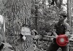 Standbild Protokollierung und Sägewerk Verarbeitung Crossville Tennessee USA, 1940, aus Sekunde 4 historischem Filmmaterial Videoclip 65675025572
