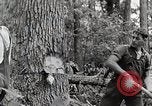 Standbild Protokollierung und Sägewerk Verarbeitung Crossville Tennessee USA, 1940, aus Sekunde 6 historischem Filmmaterial Videoclip 65675025572