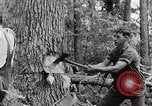 Standbild Protokollierung und Sägewerk Verarbeitung Crossville Tennessee USA, 1940, aus Sekunde 7 historischem Filmmaterial Videoclip 65675025572