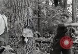 Standbild Protokollierung und Sägewerk Verarbeitung Crossville Tennessee USA, 1940, aus Sekunde 8 historischem Filmmaterial Videoclip 65675025572