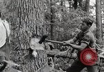 Standbild Protokollierung und Sägewerk Verarbeitung Crossville Tennessee USA, 1940, aus Sekunde 9 historischem Filmmaterial Videoclip 65675025572