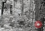 Standbild Protokollierung und Sägewerk Verarbeitung Crossville Tennessee USA, 1940, aus Sekunde 11 historischem Filmmaterial Videoclip 65675025572