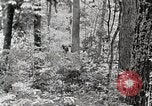 Standbild Protokollierung und Sägewerk Verarbeitung Crossville Tennessee USA, 1940, aus Sekunde 12 historischem Filmmaterial Videoclip 65675025572