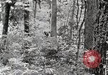 Standbild Protokollierung und Sägewerk Verarbeitung Crossville Tennessee USA, 1940, aus Sekunde 13 historischem Filmmaterial Videoclip 65675025572