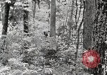 Standbild Protokollierung und Sägewerk Verarbeitung Crossville Tennessee USA, 1940, aus Sekunde 14 historischem Filmmaterial Videoclip 65675025572