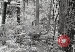 Standbild Protokollierung und Sägewerk Verarbeitung Crossville Tennessee USA, 1940, aus Sekunde 15 historischem Filmmaterial Videoclip 65675025572
