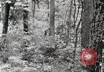 Standbild Protokollierung und Sägewerk Verarbeitung Crossville Tennessee USA, 1940, aus Sekunde 16 historischem Filmmaterial Videoclip 65675025572