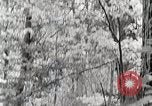 Standbild Protokollierung und Sägewerk Verarbeitung Crossville Tennessee USA, 1940, aus Sekunde 26 historischem Filmmaterial Videoclip 65675025572