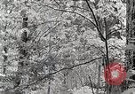 Standbild Protokollierung und Sägewerk Verarbeitung Crossville Tennessee USA, 1940, aus Sekunde 27 historischem Filmmaterial Videoclip 65675025572