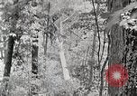 Standbild Protokollierung und Sägewerk Verarbeitung Crossville Tennessee USA, 1940, aus Sekunde 30 historischem Filmmaterial Videoclip 65675025572