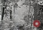 Standbild Protokollierung und Sägewerk Verarbeitung Crossville Tennessee USA, 1940, aus Sekunde 31 historischem Filmmaterial Videoclip 65675025572