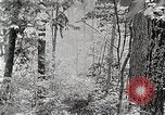 Standbild Protokollierung und Sägewerk Verarbeitung Crossville Tennessee USA, 1940, aus Sekunde 32 historischem Filmmaterial Videoclip 65675025572