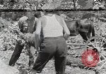 Standbild Protokollierung und Sägewerk Verarbeitung Crossville Tennessee USA, 1940, aus Sekunde 33 historischem Filmmaterial Videoclip 65675025572