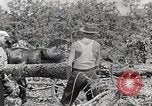 Standbild Protokollierung und Sägewerk Verarbeitung Crossville Tennessee USA, 1940, aus Sekunde 36 historischem Filmmaterial Videoclip 65675025572