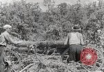 Standbild Protokollierung und Sägewerk Verarbeitung Crossville Tennessee USA, 1940, aus Sekunde 42 historischem Filmmaterial Videoclip 65675025572