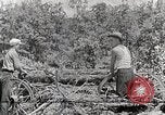 Standbild Protokollierung und Sägewerk Verarbeitung Crossville Tennessee USA, 1940, aus Sekunde 44 historischem Filmmaterial Videoclip 65675025572